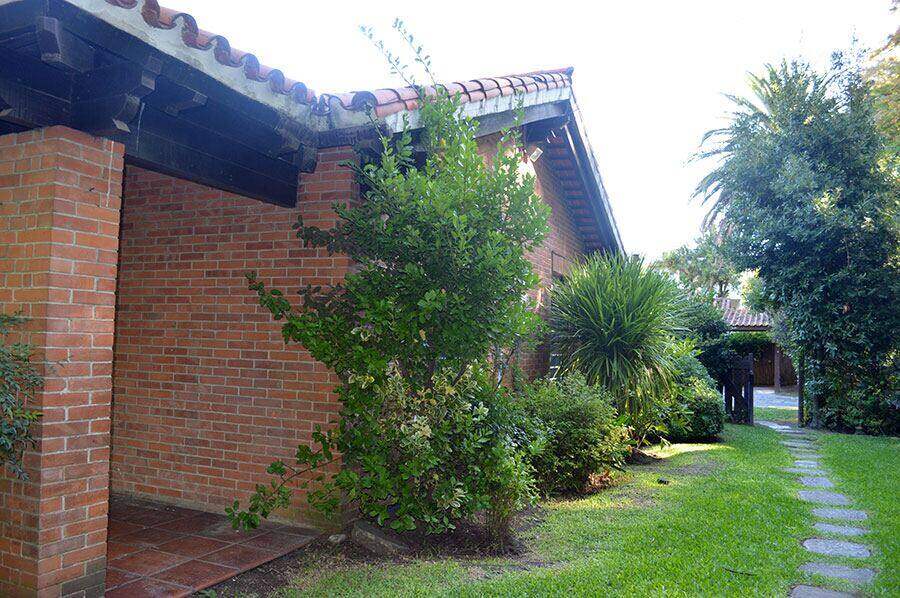 Costado de la casa con plantas