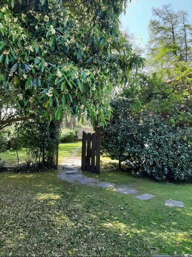 Rincón del jardín
